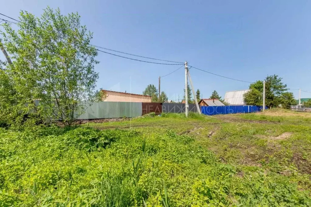 Участок в Тюменская область, Тюмень Якорь садовое товарищество, ул. ... - Фото 1