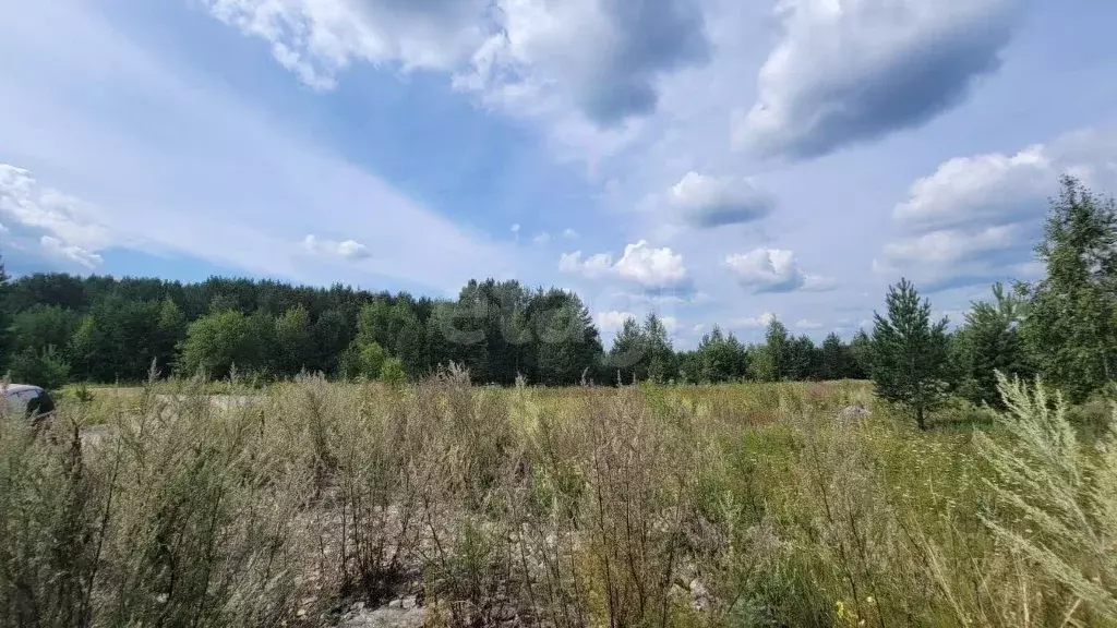 Участок в Свердловская область, Нижний Тагил ул. Надеждинская (6.0 ... - Фото 1