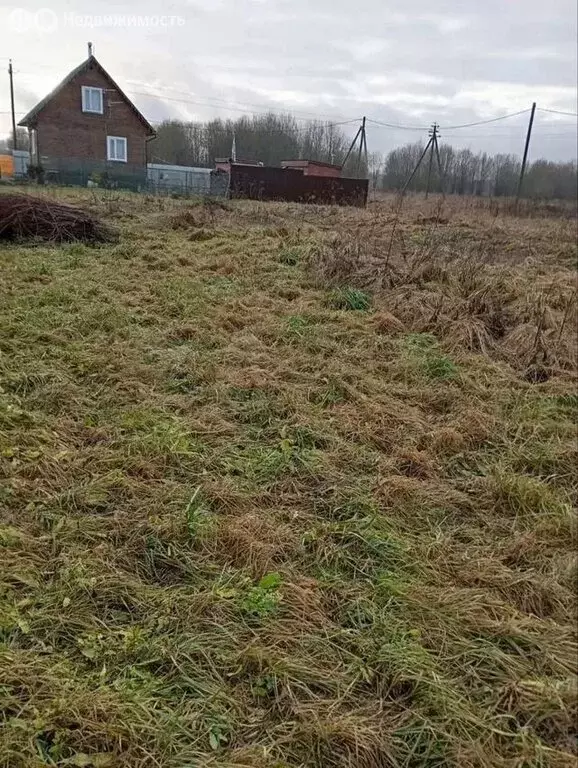 Участок в Ломоносовский район, Лопухинское сельское поселение, деревня ... - Фото 1