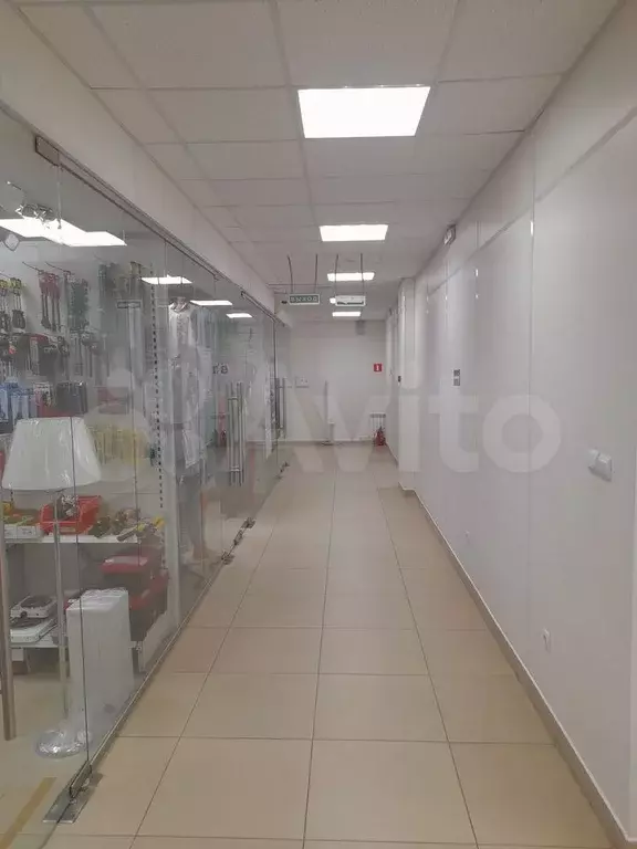 Сдам помещение в цоколе в центре п. Переволоцкий - Фото 1