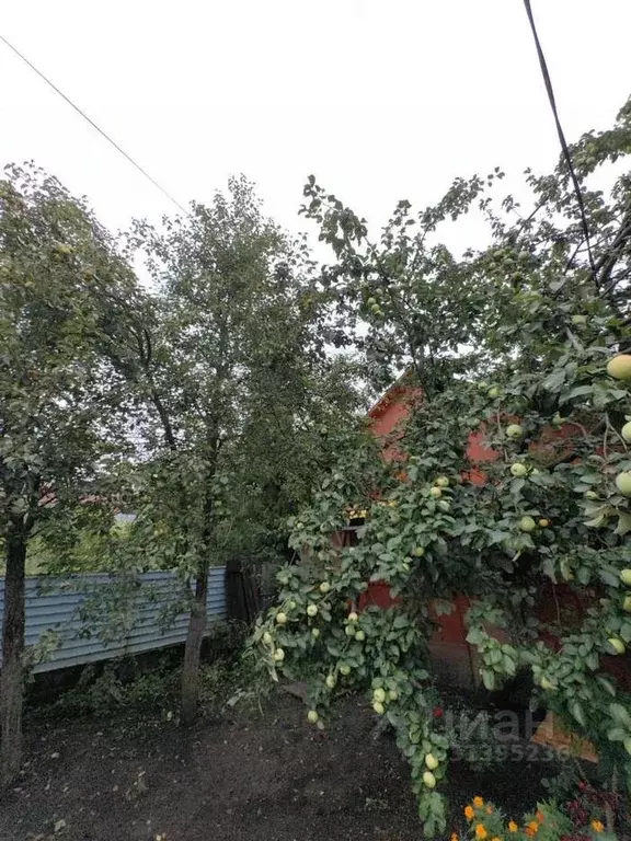 Дом в Башкортостан, Уфа Демская ул., 1/2 (63 м) - Фото 2