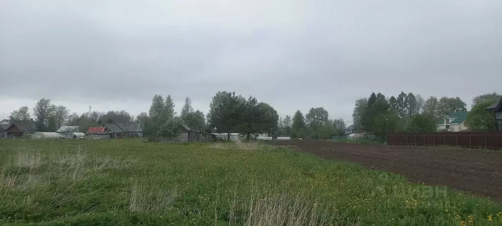 Участок в Ленинградская область, Волосовский район, Клопицкое с/пос, ... - Фото 0