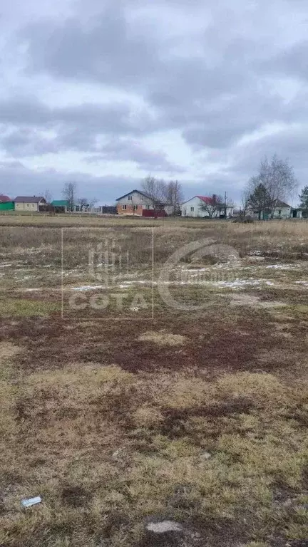 Участок в Воронежская область, Новоусманский район, Усманское 1-е ... - Фото 0