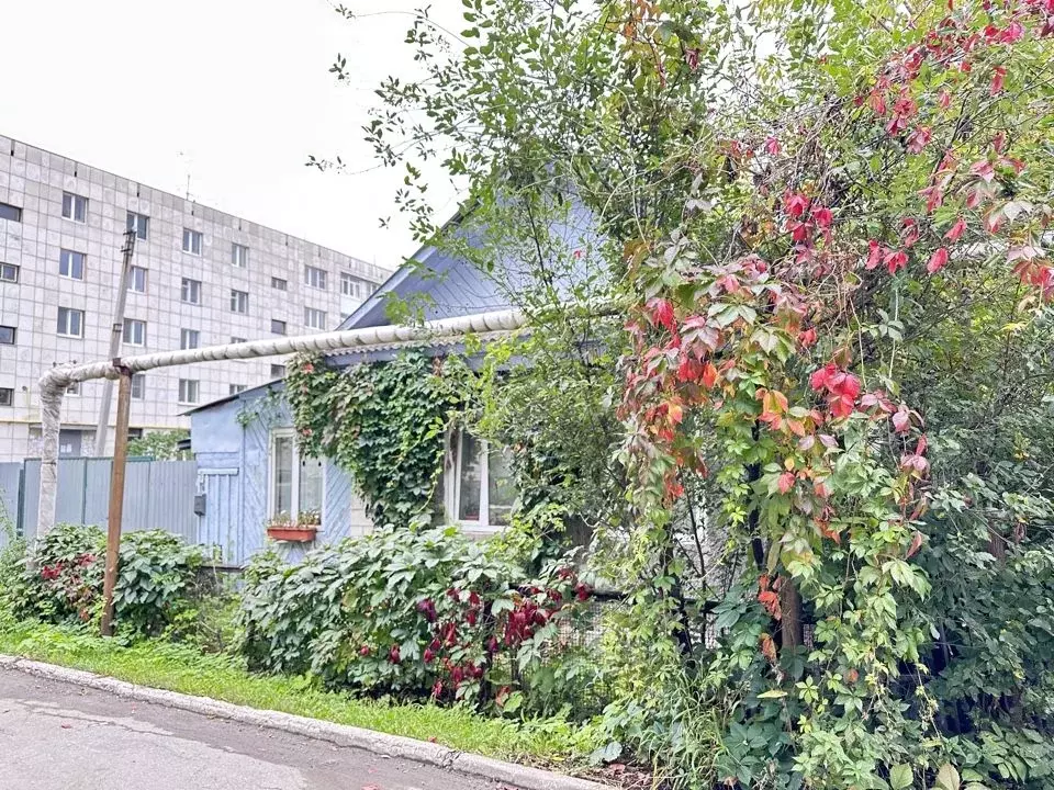 Дом в Свердловская область, Березовский Луговая ул., 15 (47 м) - Фото 1