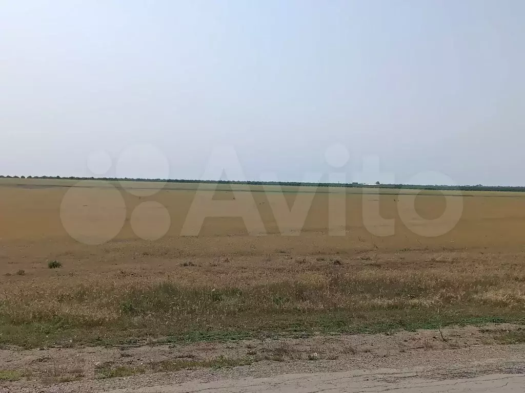 Участок 246,39 га (ИЖС) - Фото 1