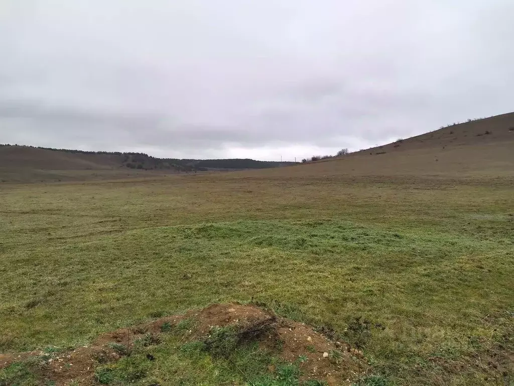 Участок в Крым, Симферопольский район, Чистенское с/пос, с. Камышинка  ... - Фото 1