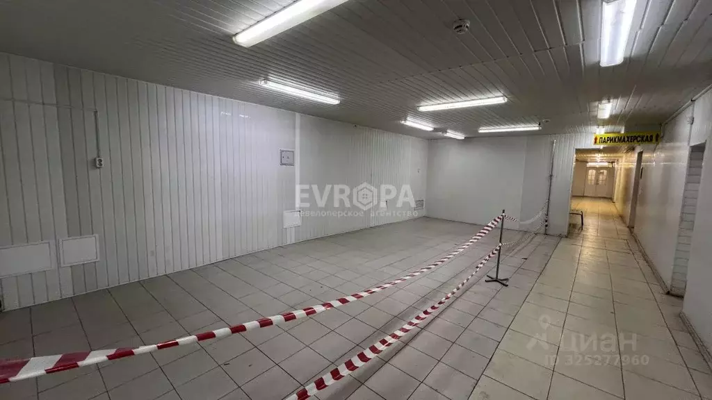 Торговая площадь в Ульяновская область, Ульяновск ул. Рябикова, 74 (30 ... - Фото 1