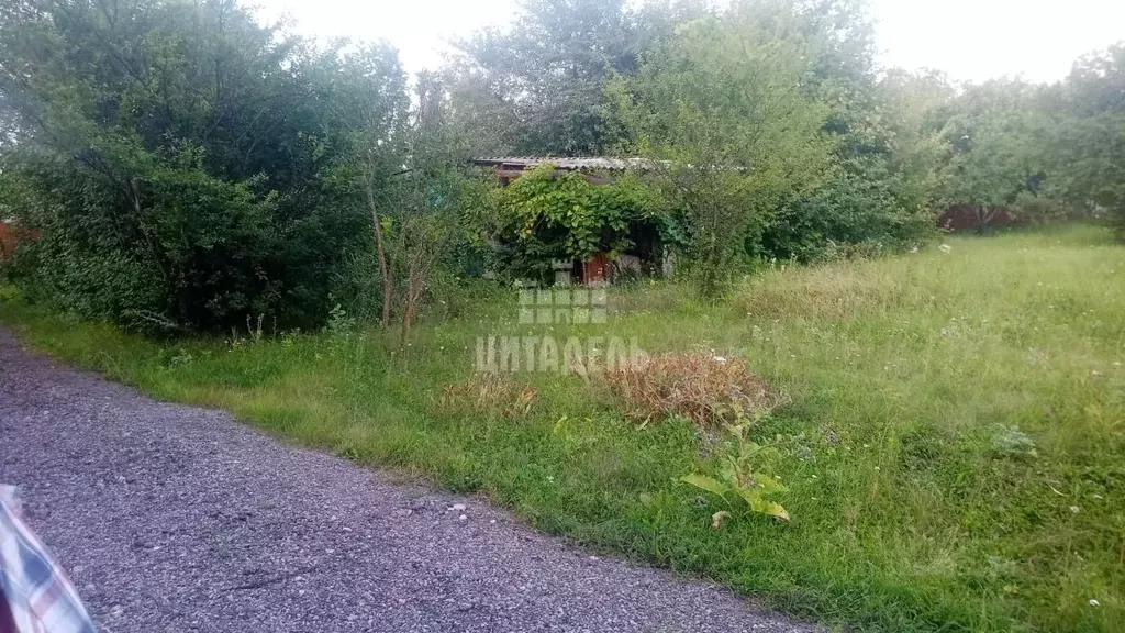 Участок в Воронежская область, Панинский район, Краснолиманское с/пос, ... - Фото 1