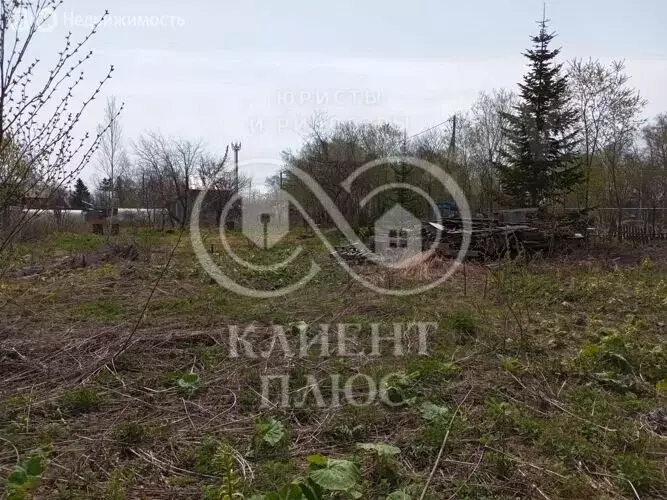 Участок в Южно-Сахалинск, СНТ Надежда, Лесная улица, 19 (8.95 м) - Фото 1