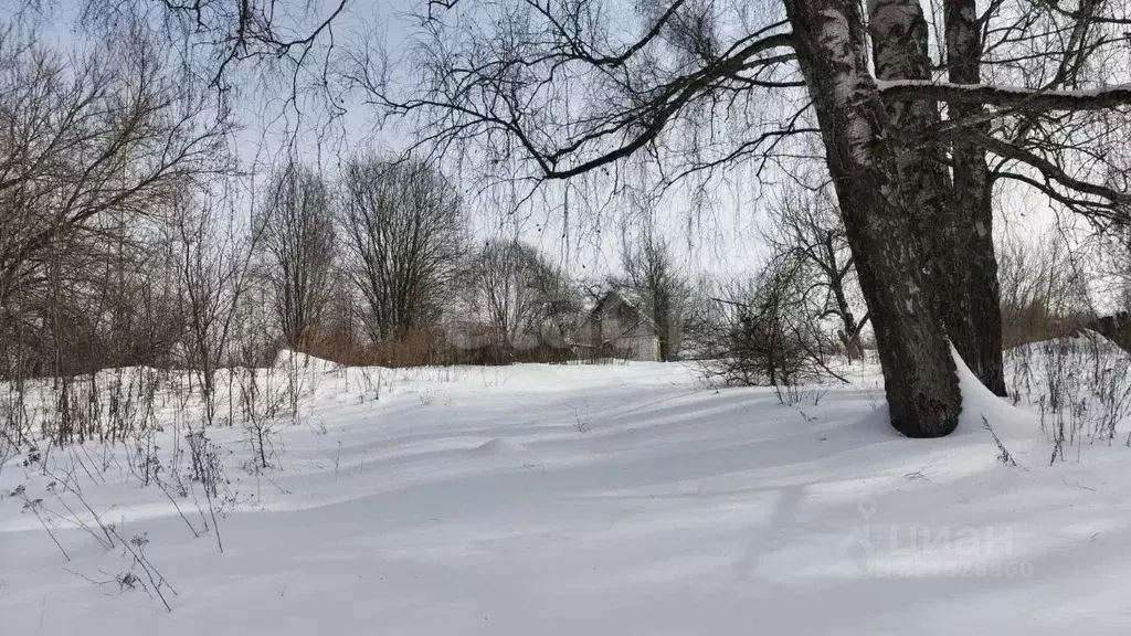 Дом в Брянская область, Брянский район, Снежское с/пос, с. Толмачево, ... - Фото 1