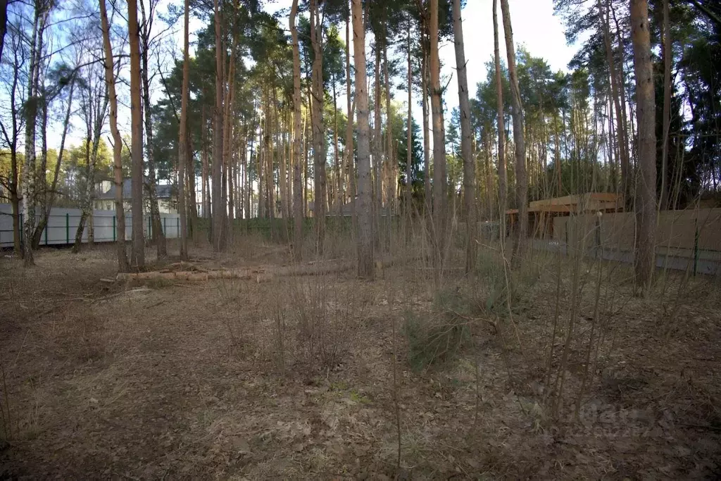 Участок в Московская область, Одинцовский городской округ, д. Бородки ... - Фото 1