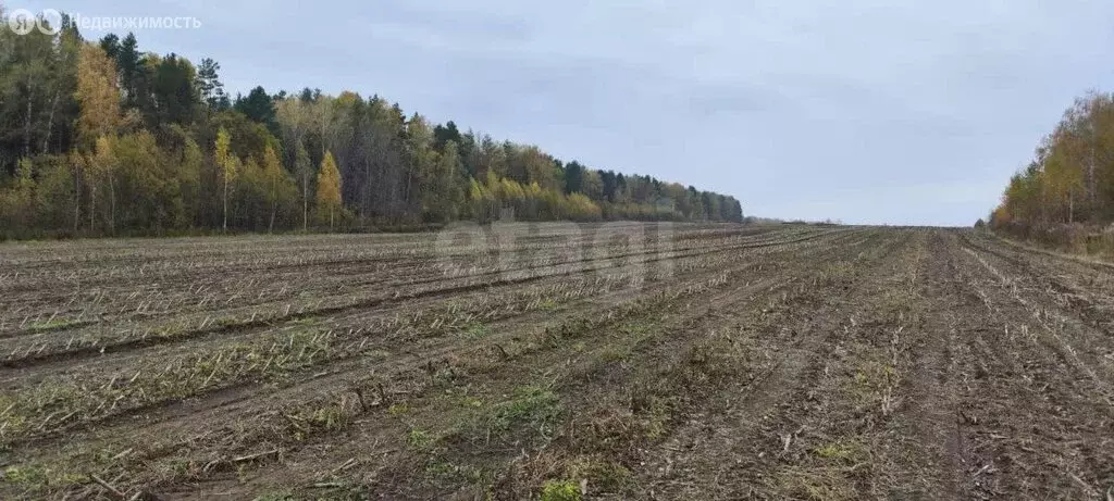 Участок в деревня Добрунь, Парковая улица (98.54 м) - Фото 1