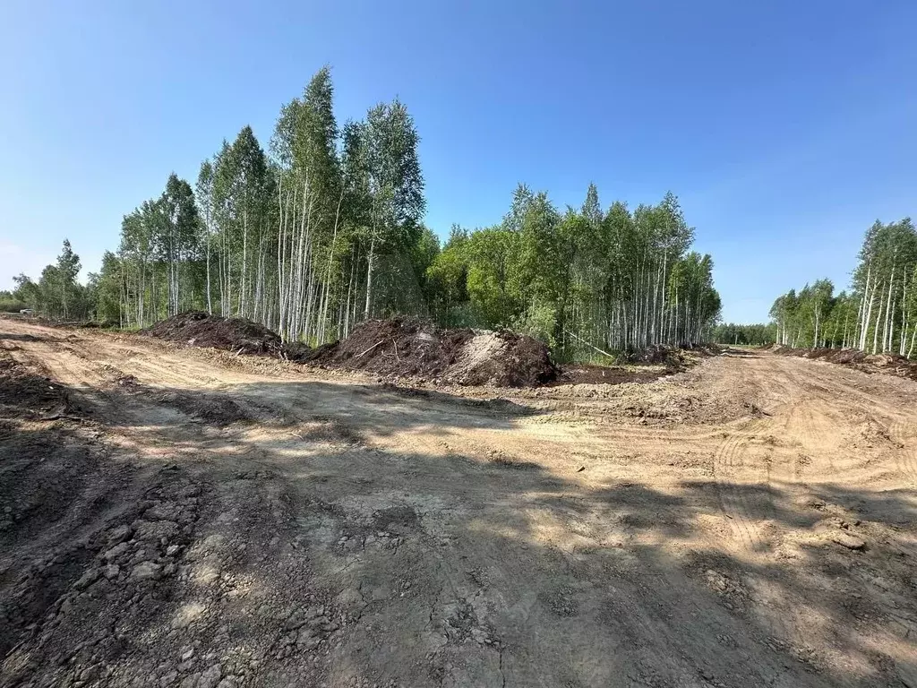 Участок 6 сот. (СНТ, ДНП) - Фото 1