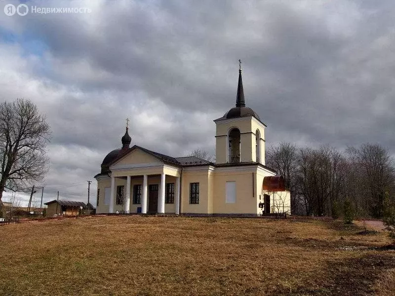 Участок в Волосовский район, Бегуницкое сельское поселение, деревня ... - Фото 1