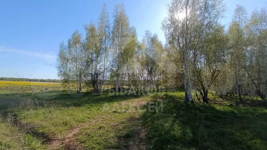 Участок 8,4 сот. (СНТ, ДНП) - Фото 0