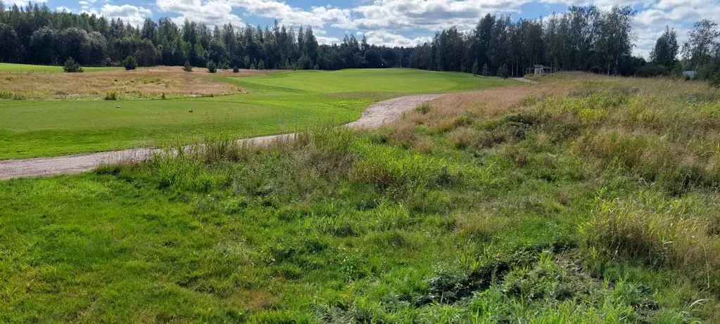 Участок в Ленинградская область, Ломоносовский район, Пениковское ... - Фото 1