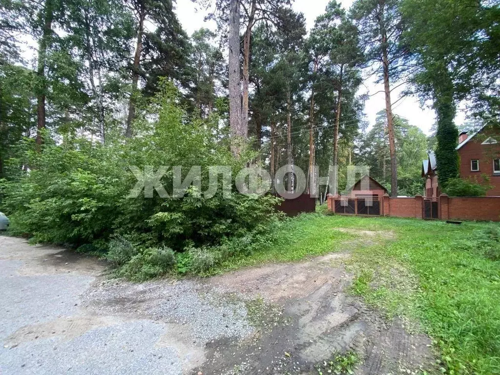 Участок в Новосибирская область, Новосибирский район, Мочищенский ... - Фото 1
