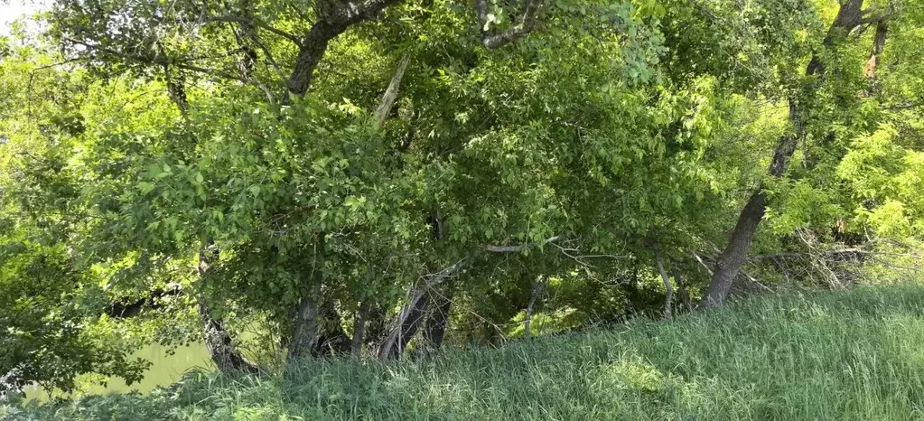 Участок в Саратовская область, с. Поповка пер. 1-й Парковый, 4А (28.0 ... - Фото 1