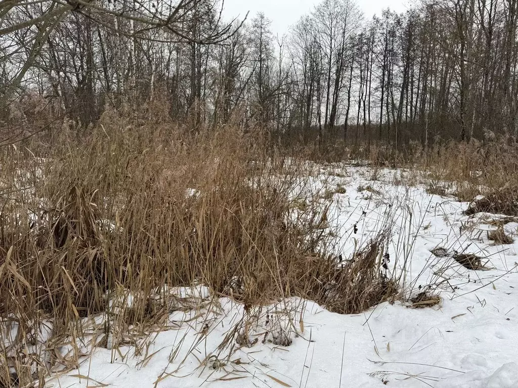 Участок в Московская область, Богородский городской округ, д. Жилино ... - Фото 0