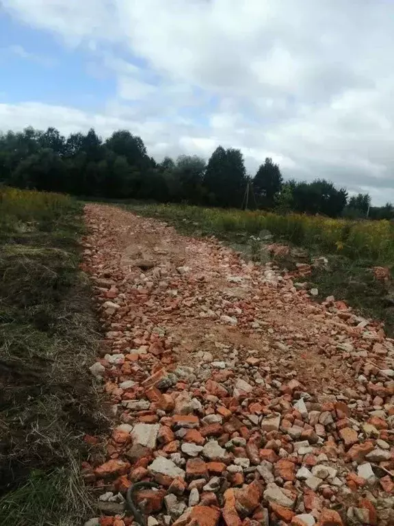 Участок в Тульская область, Тула городской округ, д. Дементеево, ... - Фото 1