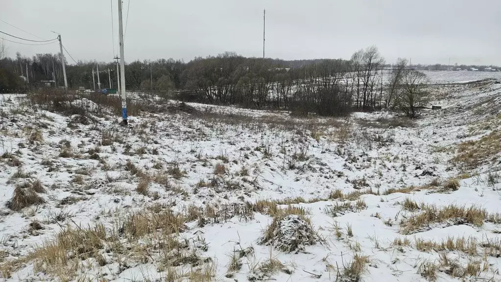 Участок в Московская область, Домодедово городской округ, д. Ляхово  ... - Фото 1