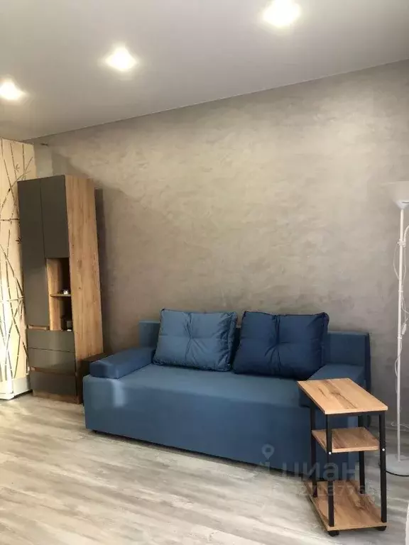 Студия Московская область, Раменское ул. Семейная, 7 (26.2 м) - Фото 2