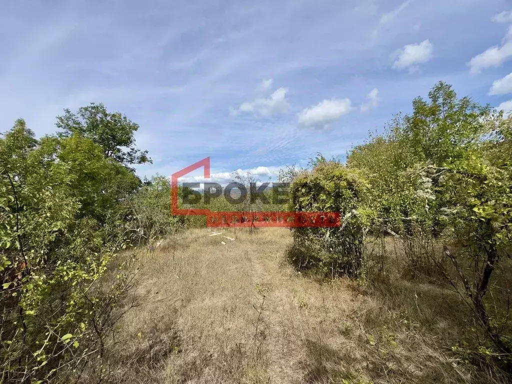 Участок в Севастополь с. Родниковское, ул. Степана Скитальца, 25 (20.0 ... - Фото 1