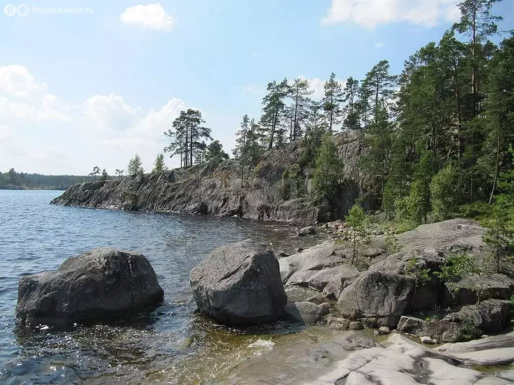 Участок в Республика Карелия, Лахденпохский муниципальный округ, ... - Фото 2