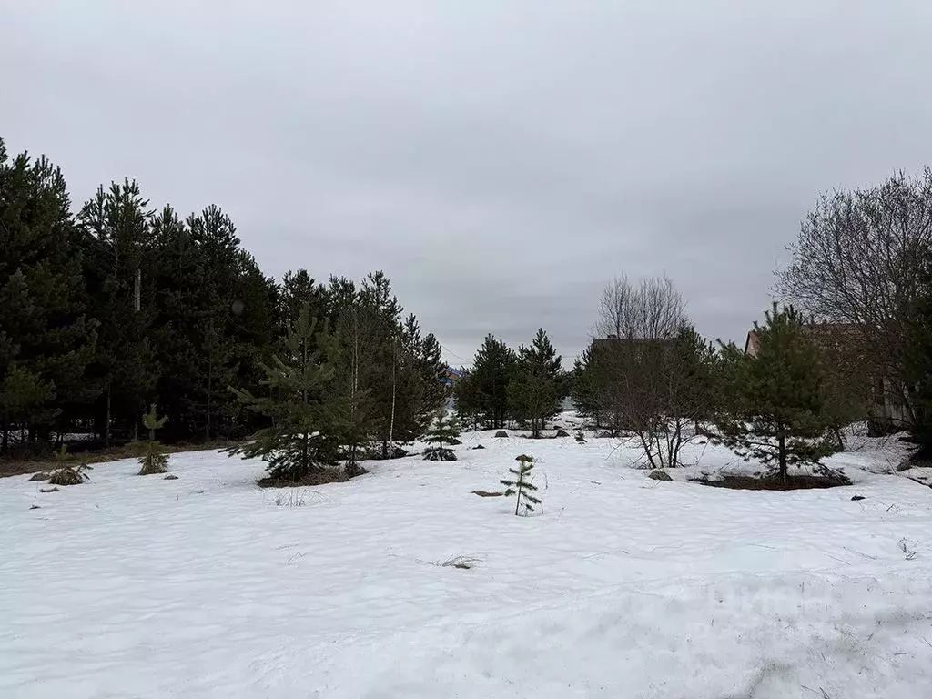 Участок в Московская область, Раменский муниципальный округ, д. ... - Фото 2