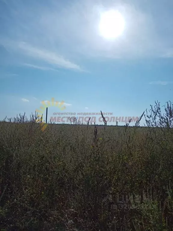 Участок в Краснодарский край, Ейск ул. Герцена (6.25 сот.) - Фото 0