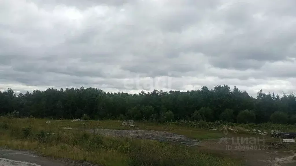 Участок в Хабаровский край, Хабаровский район, с. Краснореченское  ... - Фото 1