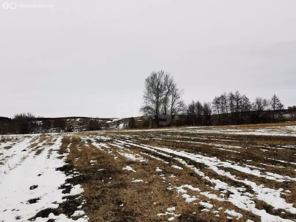 Участок в муниципальное образование Саратов, село Поповка (57000 м) - Фото 0