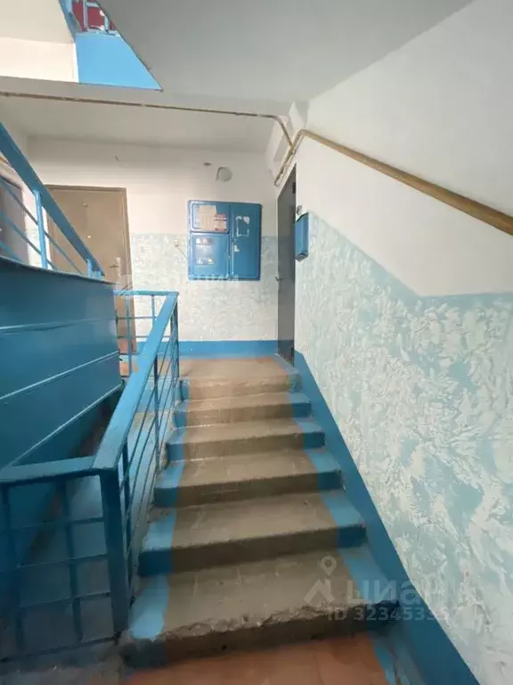 2-к кв. Чувашия, Чебоксарский муниципальный округ, д. Большие Катраси ... - Фото 1