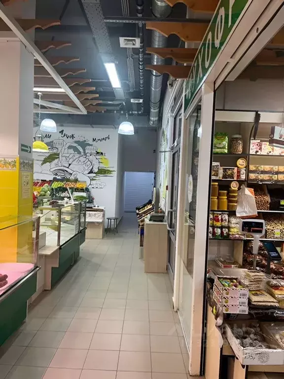 Торговая площадь в Московская область, Сергиев Посад ул. Осипенко, 1 ... - Фото 1