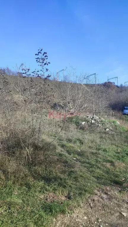 Участок в Краснодарский край, Новороссийск городской округ, Убых хут.  ... - Фото 1