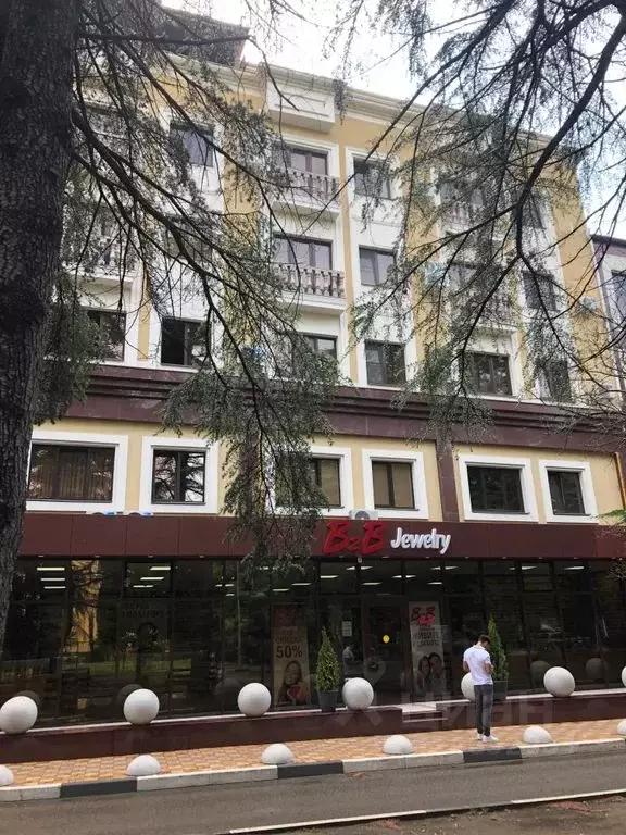 1-к кв. Краснодарский край, Сочи ул. Куйбышева, 36 (43.0 м) - Фото 1