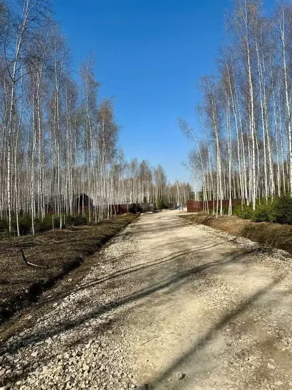 Участок в Московская область, Ступино городской округ, Шелково Форест ... - Фото 1