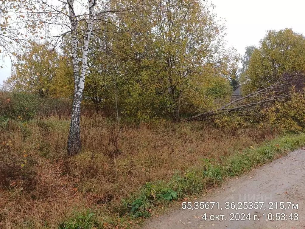 Участок в Московская область, Наро-Фоминский городской округ, д. ... - Фото 1