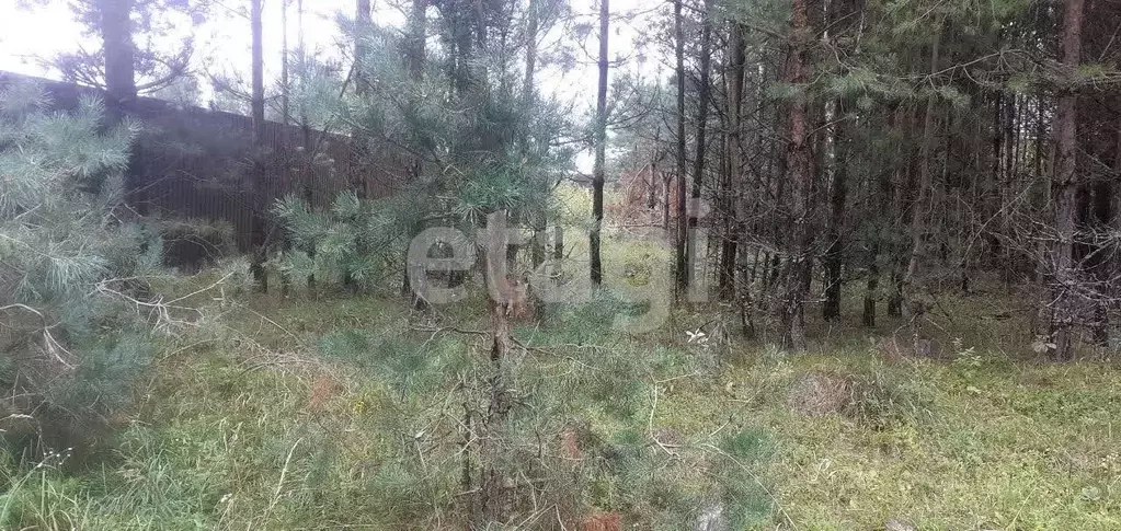 Участок в Брянская область, Брянский район, Супоневское с/пос, д. ... - Фото 1