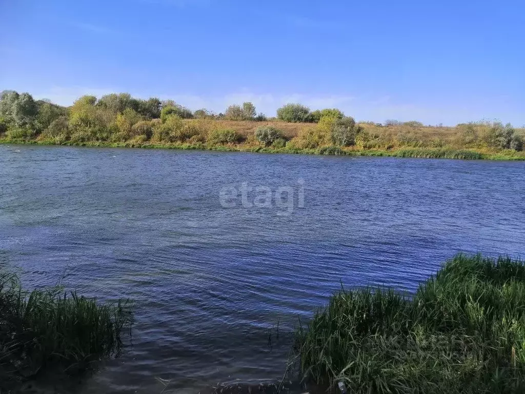 Участок в Воронежская область, Рамонский район, с. Новоживотинное ул. ... - Фото 1