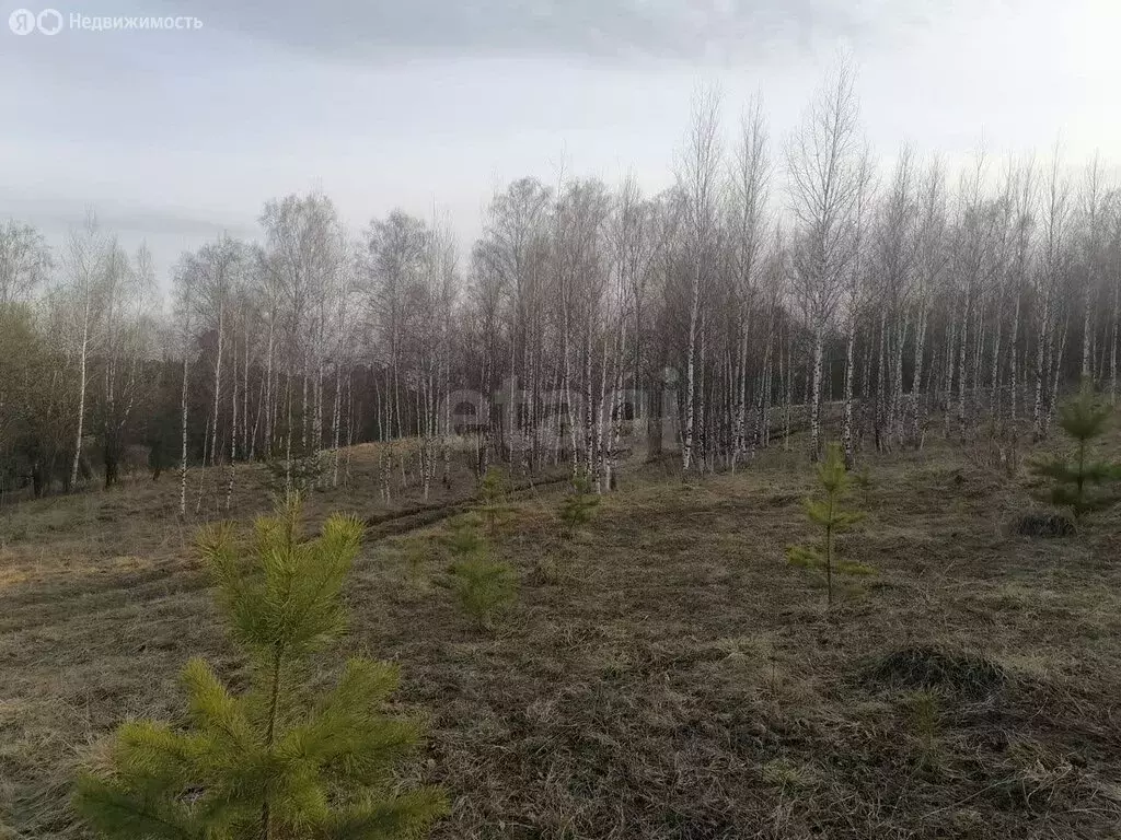 Участок в село Корнилово, микрорайон Красная горка 2, Благовещенская ... - Фото 2