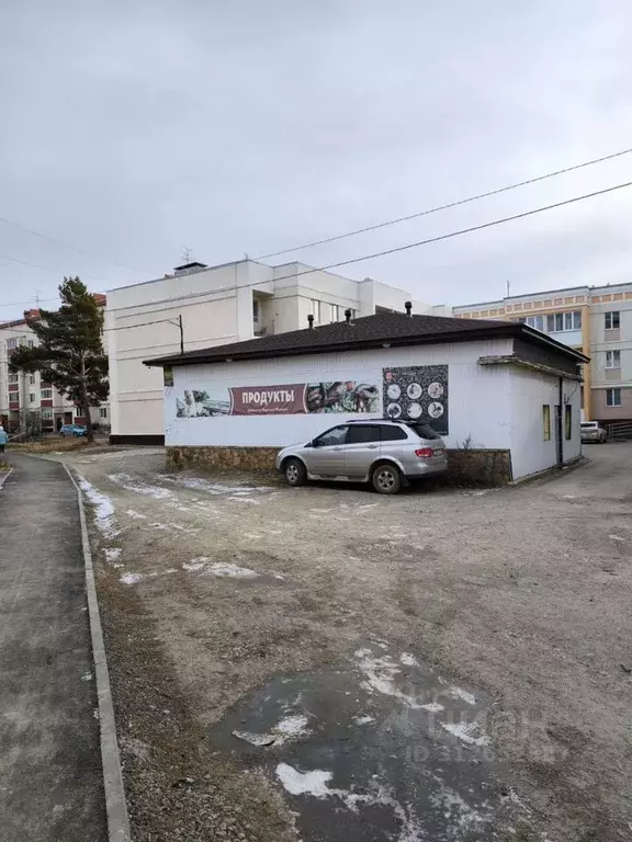 Торговая площадь в Свердловская область, Арамильский городской округ, ... - Фото 1