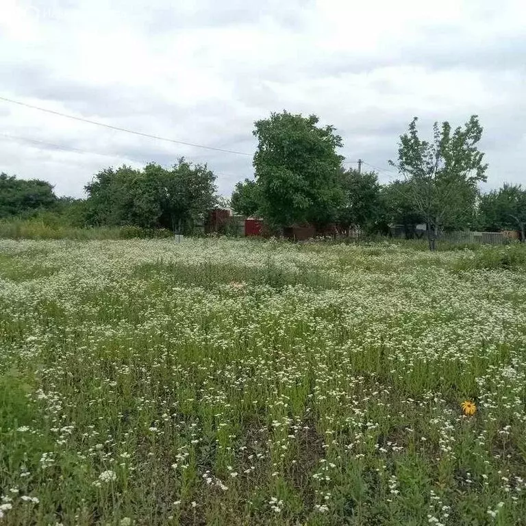 Участок в село Стрелецкое, Центральная улица (19.5 м) - Фото 2