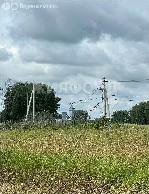 Участок в Новосибирский район, Верх-Тулинский сельсовет, СНТ Романтик ... - Фото 1