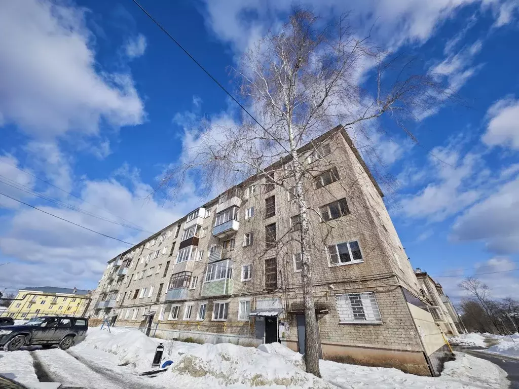 1-к кв. Московская область, Рошаль ул. Фридриха Энгельса, 31/6 (29.8 ... - Фото 2