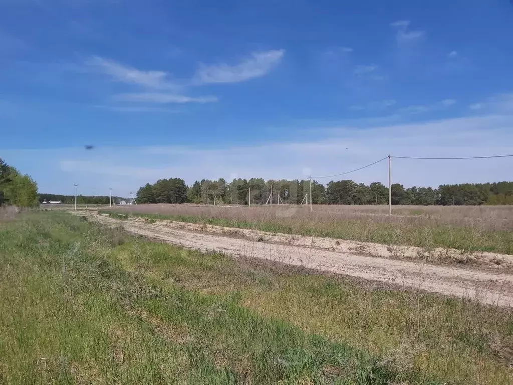 Участок в Тюменская область, Тюменский муниципальный округ, Чикчинское ... - Фото 1