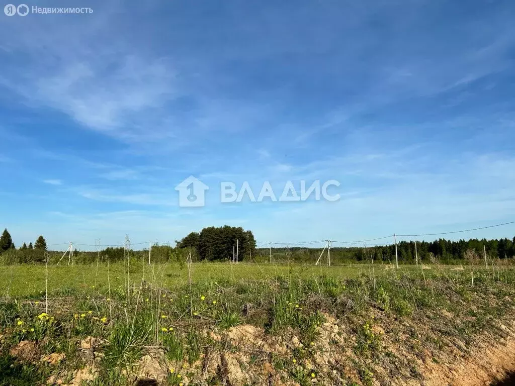 Участок в Вологодская область, Сокольский муниципальный округ, село ... - Фото 1