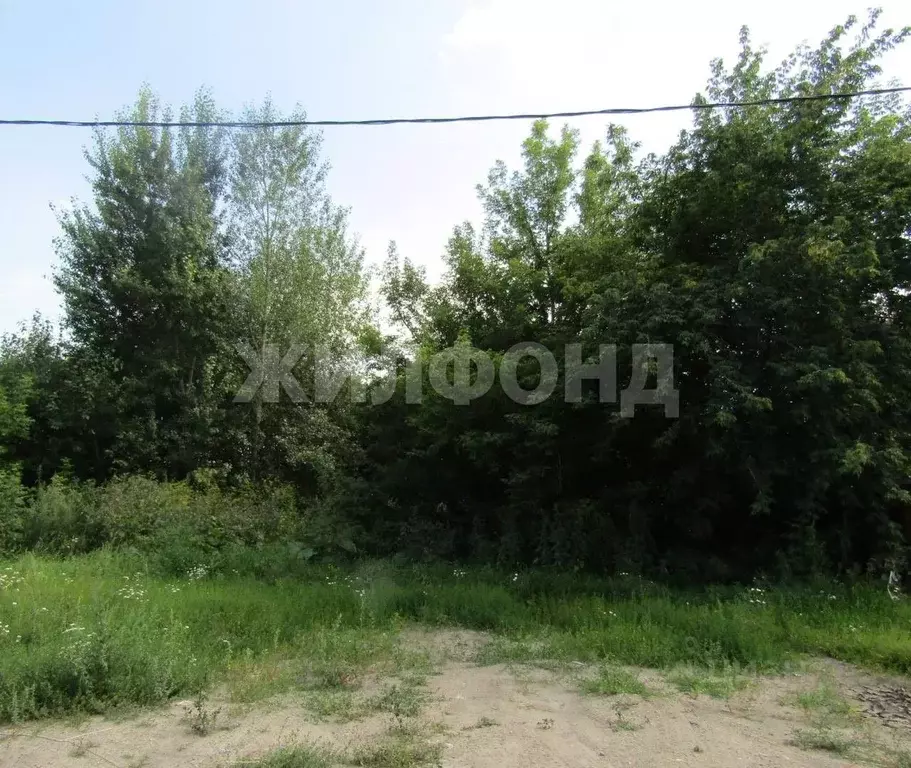 Участок в Новосибирская область, Новосибирск Зеленодолинская ул. (6.3 ... - Фото 1