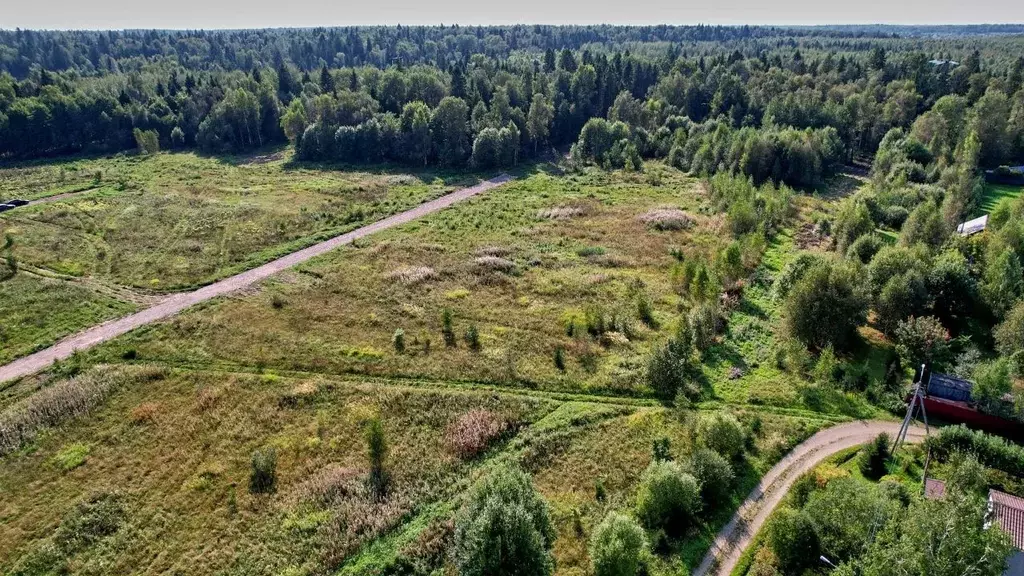 Участок в Московская область, Дмитровский городской округ, Медведки кп ... - Фото 1