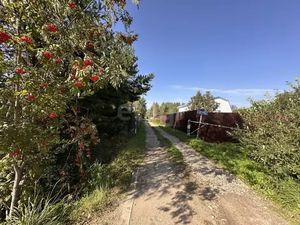 Участок в Московская область, Клин городской округ, Колос СНТ 130 (6.0 ... - Фото 1